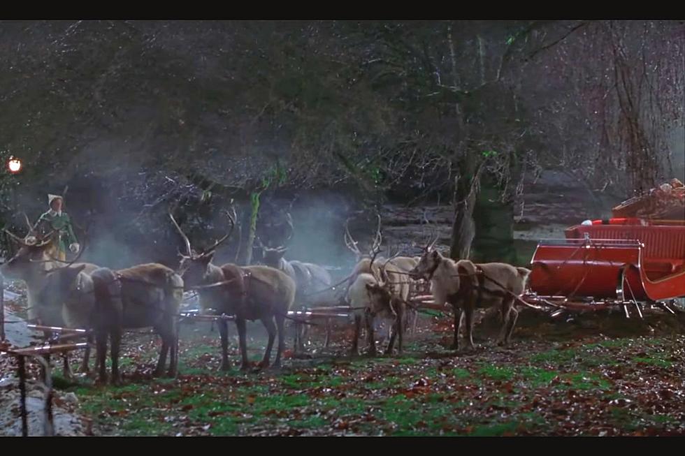 Visit the Famous Sleigh from "Elf" As It Lands in New York