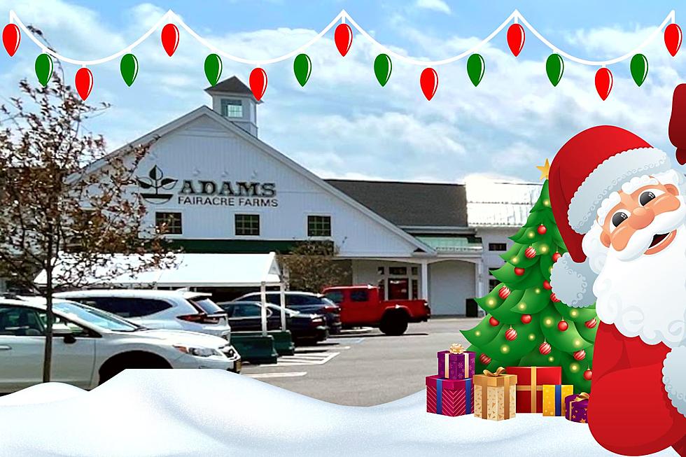 Which Adams Fairacre Farms is the Best to Handle Your Holidays?