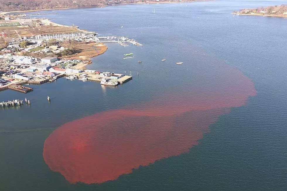 Why Is This Famous New York River Turning Red?