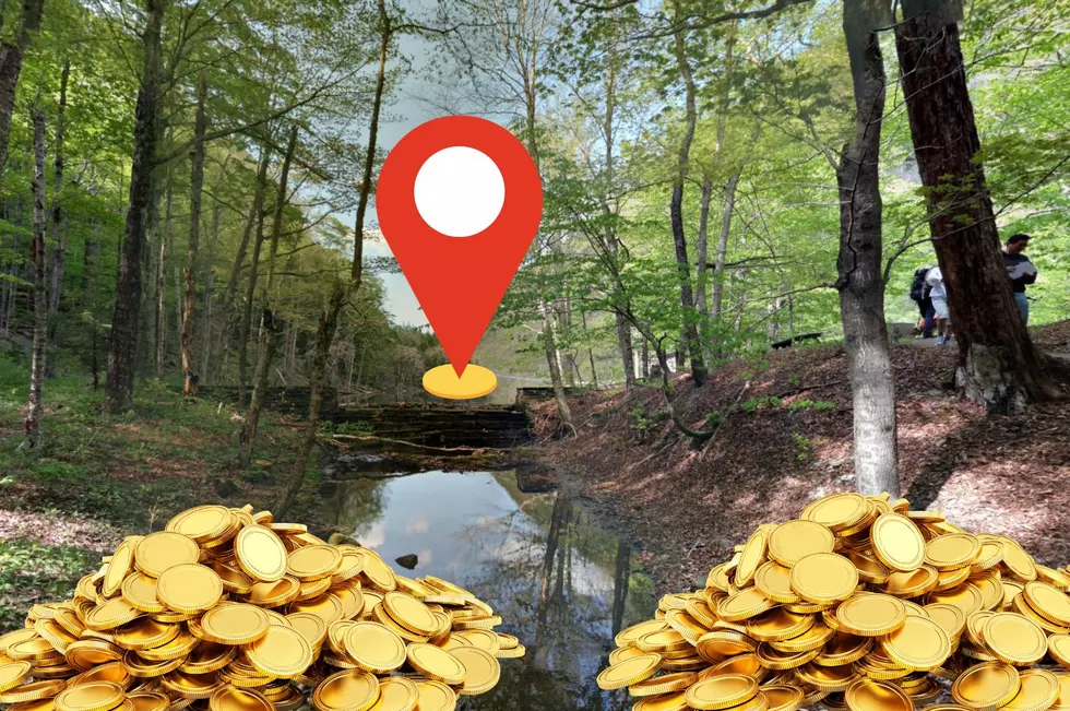 Is a Mobster’s Treasure Buried in This New York Campground?