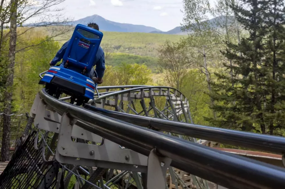 New York's Mountain Coaster is the Longest in the Country