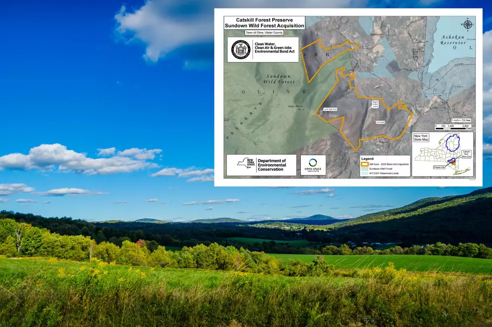 Massive New “Forever Wild” Land Added to the Hudson Valley