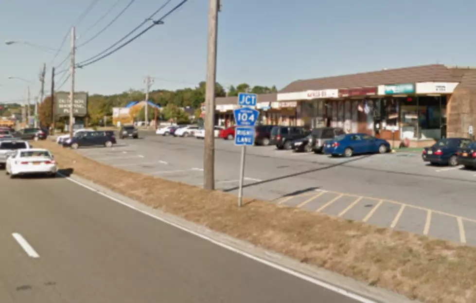 Animal Cruelty Charge Against Hudson Valley Pet Store Owner
