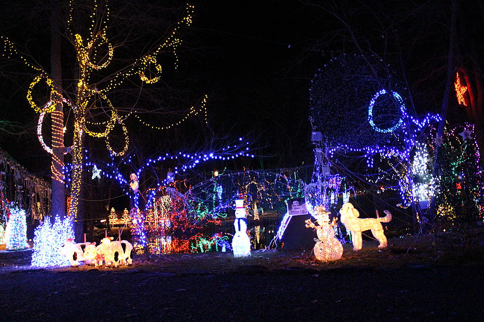 Hudson Valley Holiday Light Display Features Over 600,000 Lights