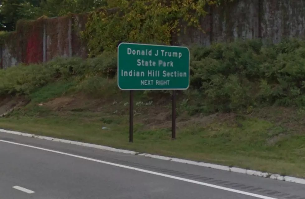 State Senator Wants Trump’s Name off Taconic Parkway Signs