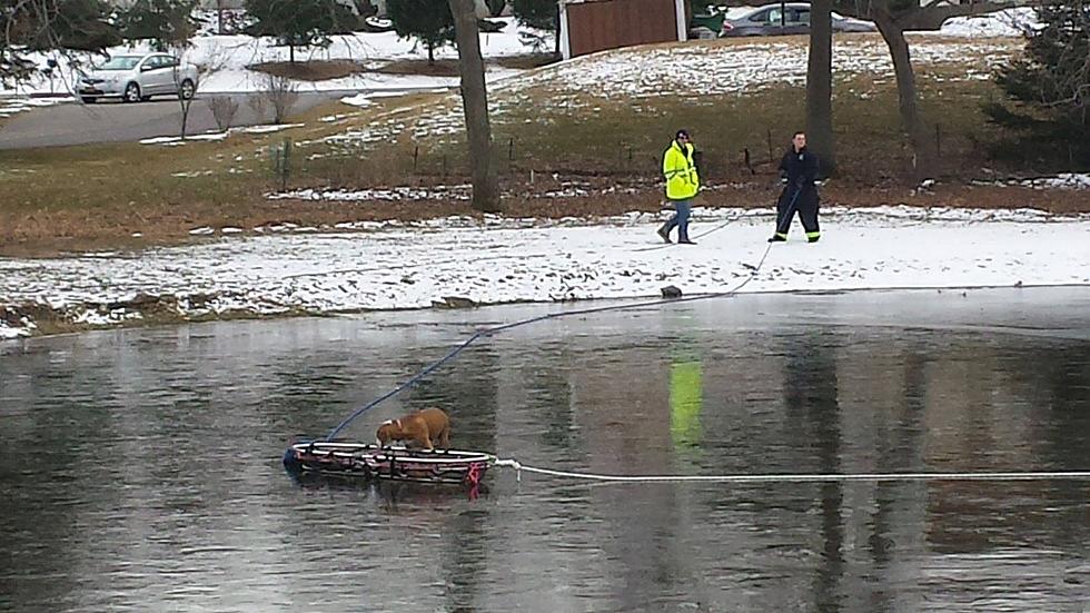 Hudson Valley Fire Company Rescues Dog Trapped on Ice