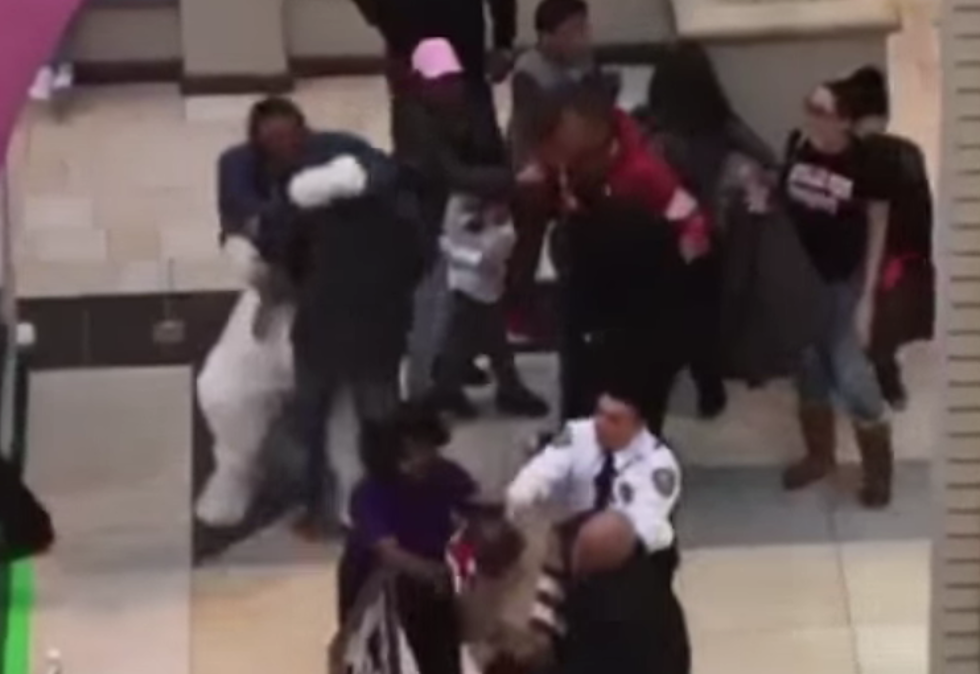 New Jersey Mall Easter Bunny Brawls with Customers [NSFW VIDEO]