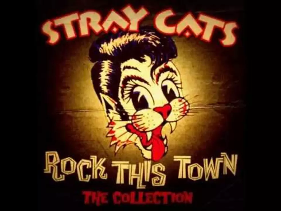My Lost Treasure: The Stray Cats
