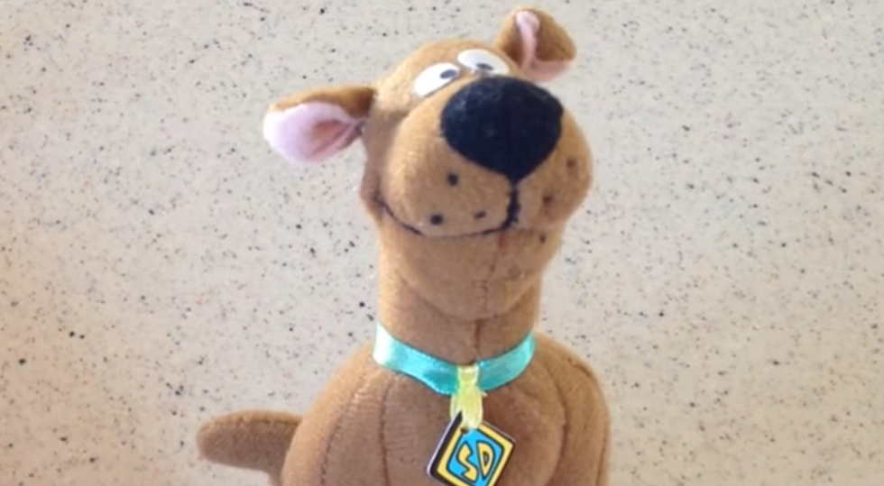 N.Y. State Man Sentenced For Torching Car After Fight Over Scooby Doo Doll