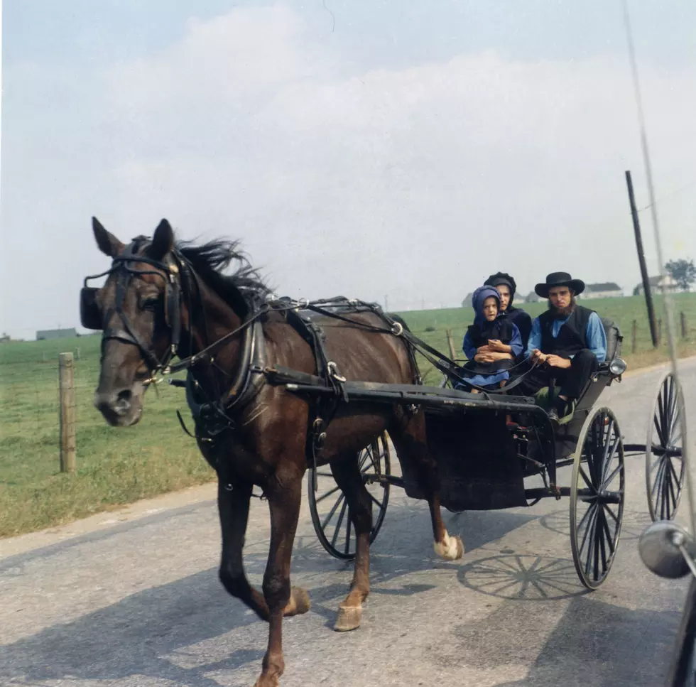 Drunk Pennsylvania Man Crashes Into Amish Buggy
