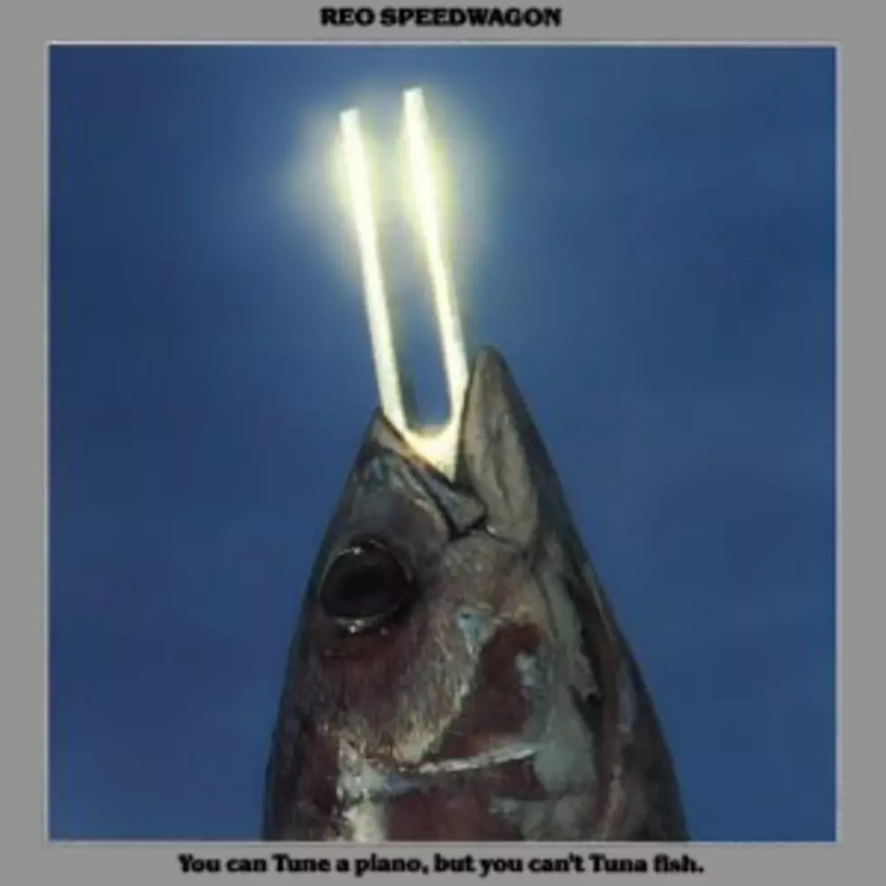 WPDH Album of the Week: REO Speedwagon ‘You Can Tune a Piano, but You Can’t Tuna Fish’