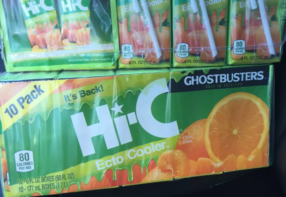 Where to Find Ecto Cooler in the Hudson Valley
