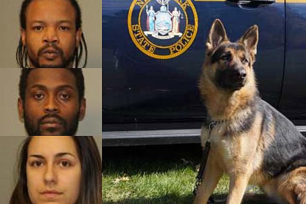 K9 Sniffs Out Drugs on Vermont Trio