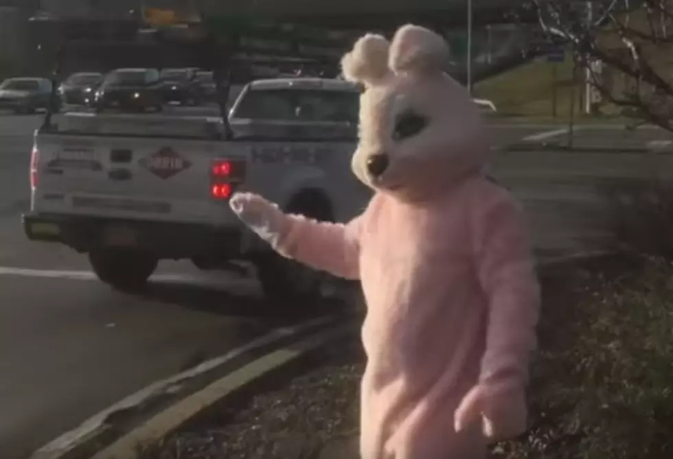 Mysterious Bunny Handing out Gas Cards in the Hudson Valley