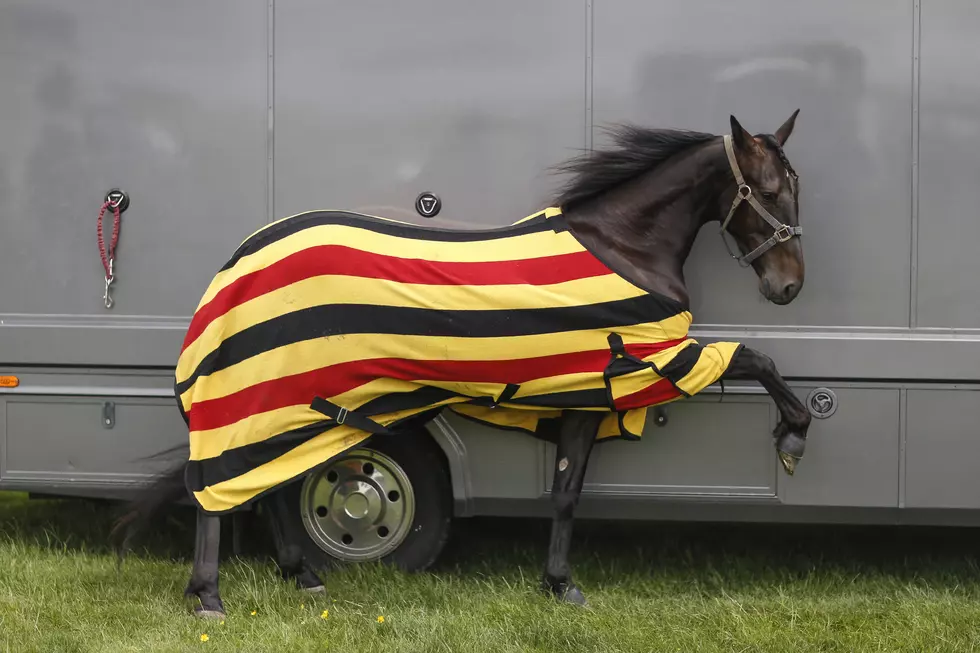 Why are Seven of the World’s Fastest Horses Sitting in Newburgh?