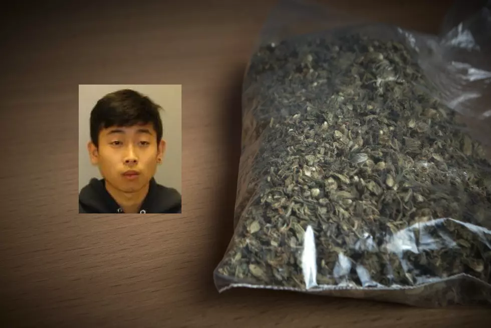 Police: Man Caught With Over 3 Pounds of Marijuana During Traffic Stop