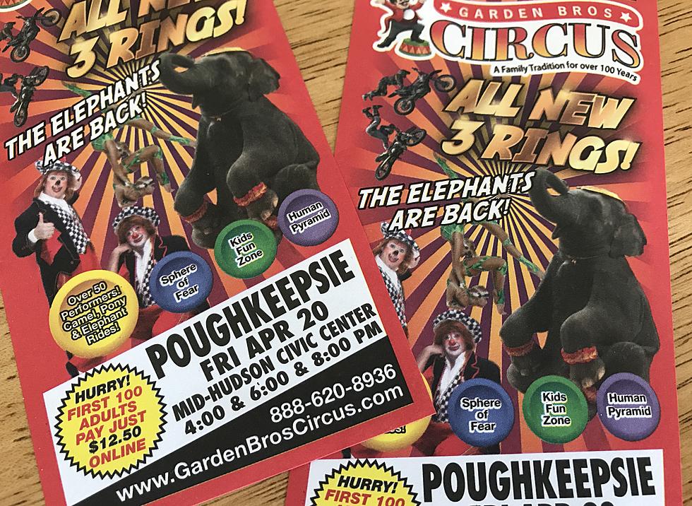 Circus Shows Elephants Despite Ban; Will They Be in Poughkeepsie?