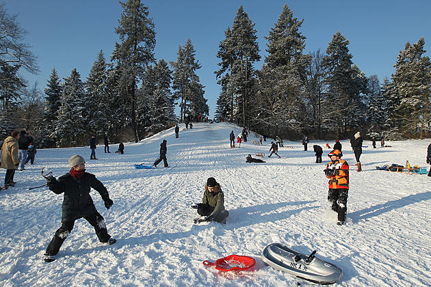 Winter Fun Day at Freedom Park Jan. 26