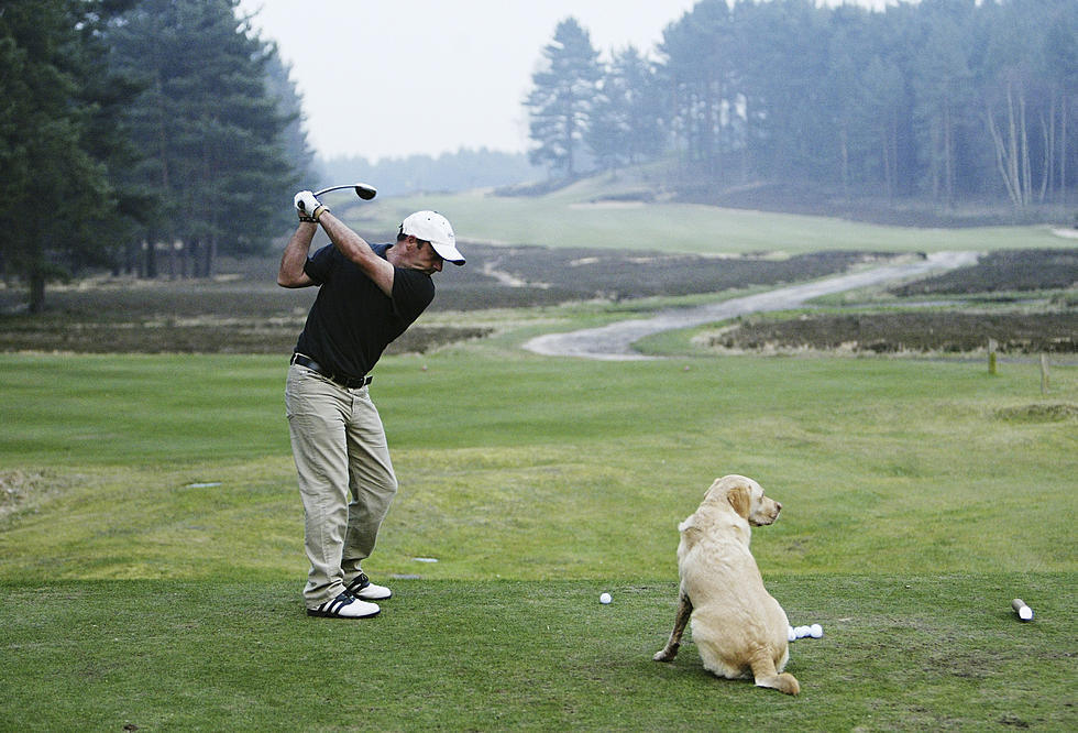 Putt for Paws Golf Tournament Is May 20