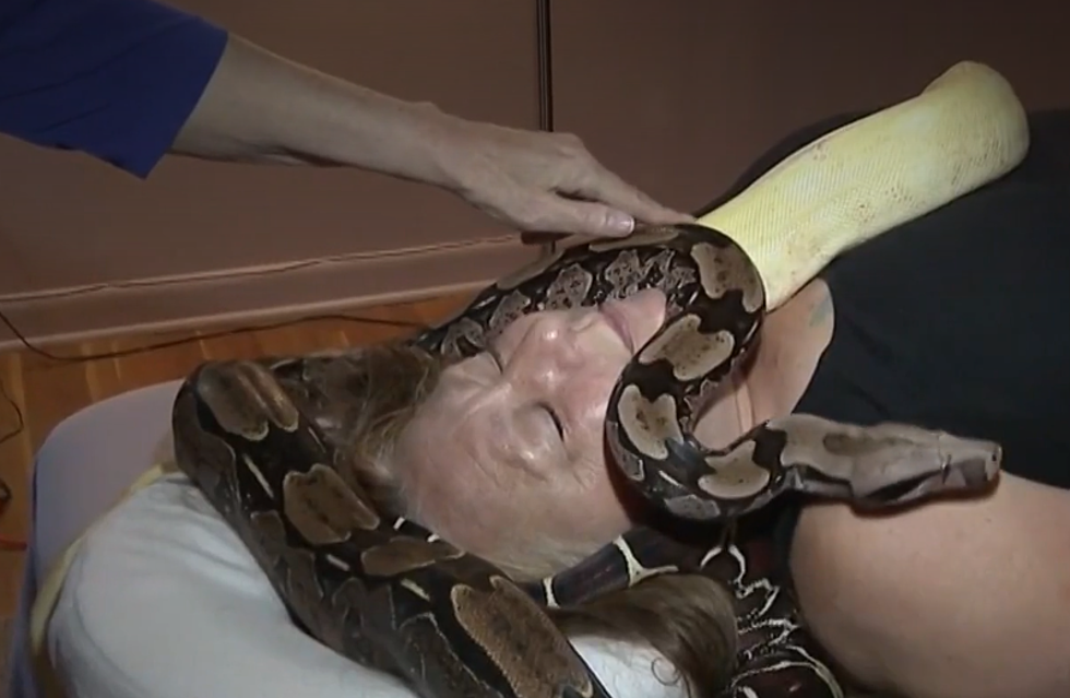 You Can Get a Snake Massage in New York, If You Dare