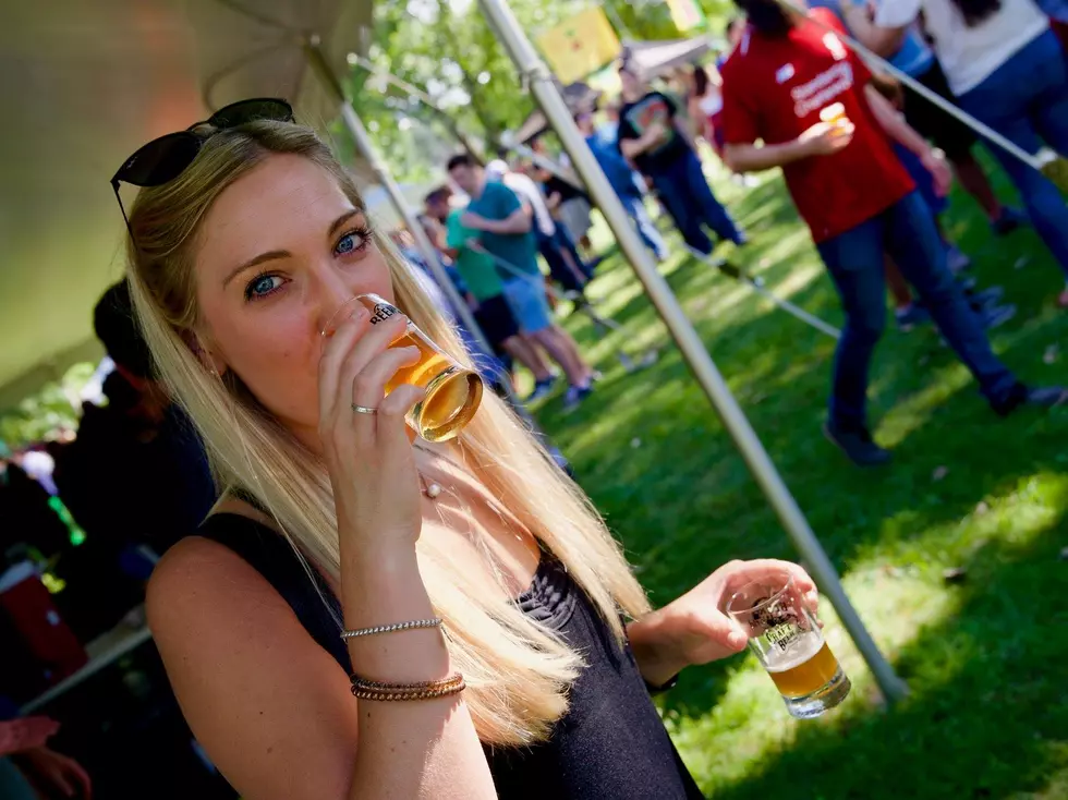 Hudson River Craft Beer Festival Returns