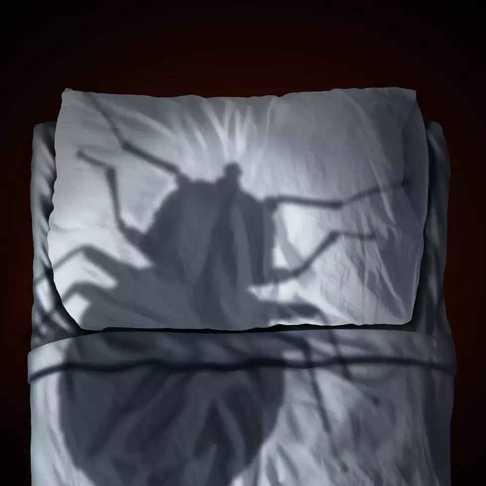 Two Upstate Cities Make “Top Bed Bug Cities” List