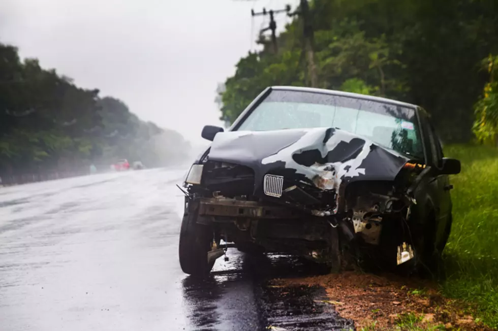 Where Does New York Rank When It Comes To Animal Related Collisions While Driving ?