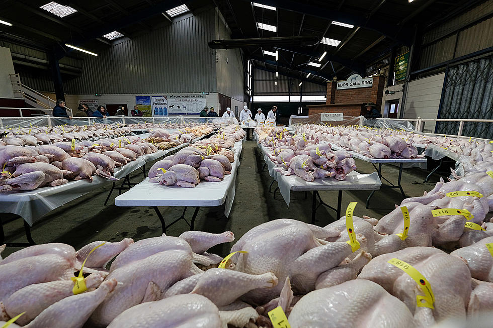 Shortage of Small Turkeys Expected in Hudson Valley
