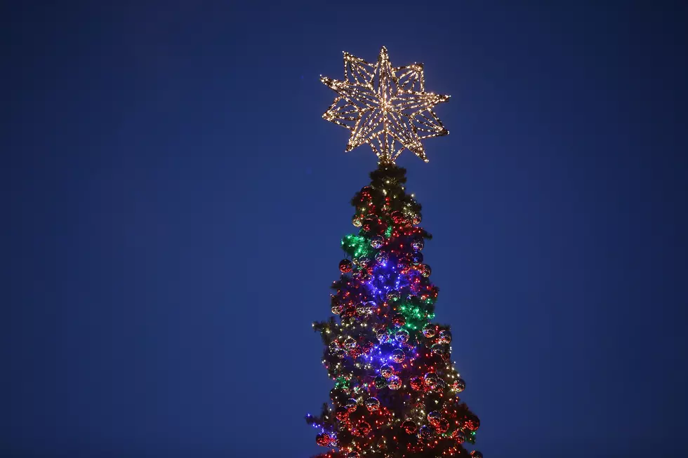 Beacon Tree Lighting Goes Virtual for 2020