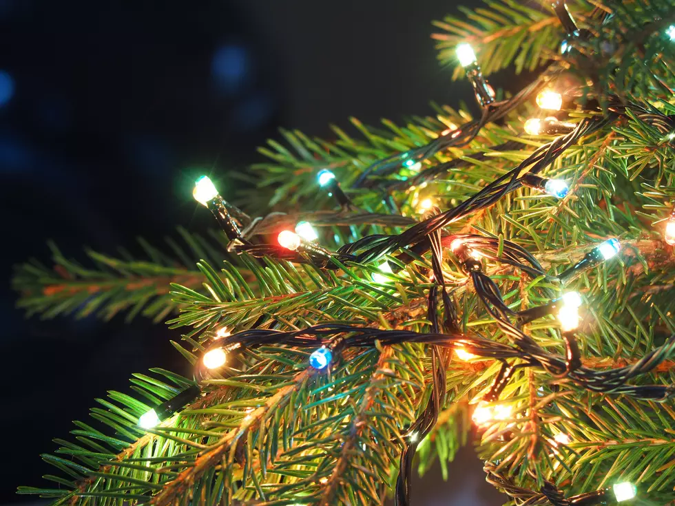 What Color Lights Are On Your Christmas Tree?