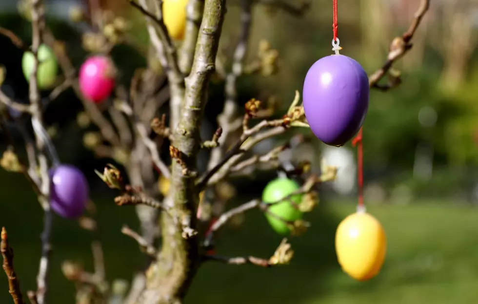 Hyde Park’s Egg-cellent Easter Celebration