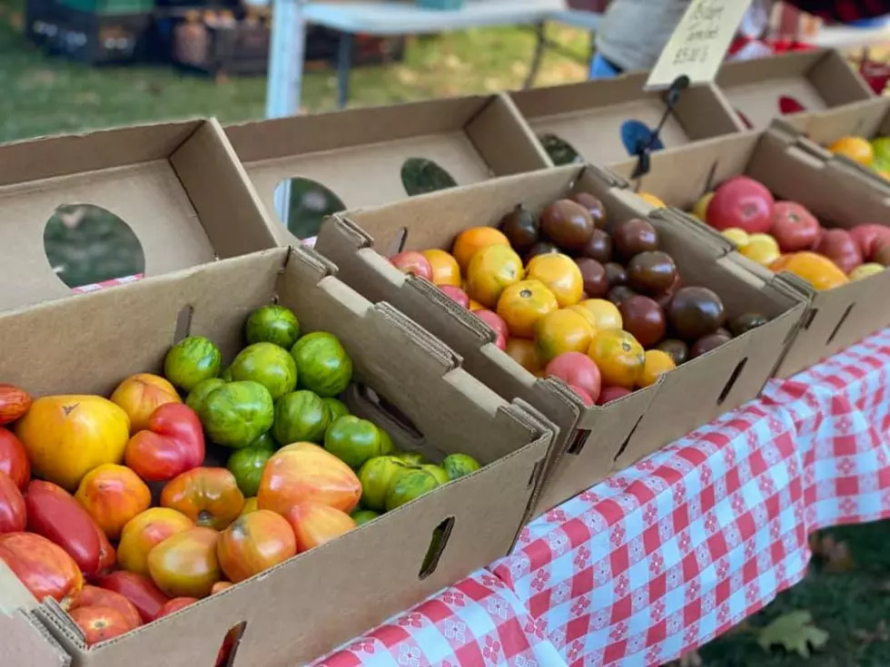 Opening Soon: 7 Essential Hudson Valley Farmers Markets