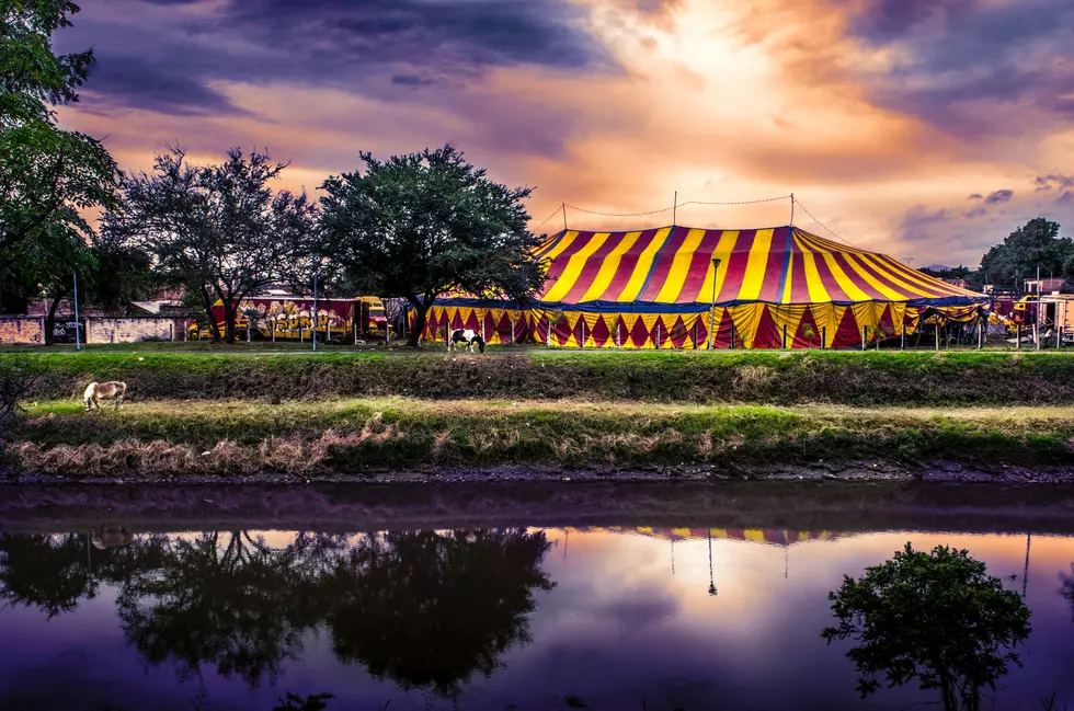 The Circus Is Coming to Orange County!