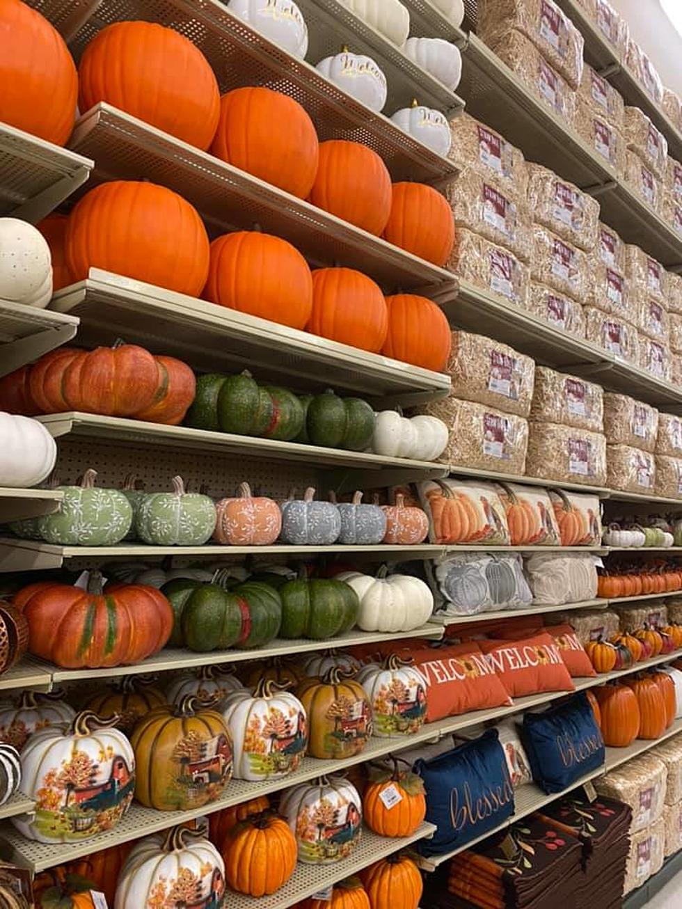 Really?! This Craft Store in Poughkeepsie Already Has Thanksgiving Decorations Out