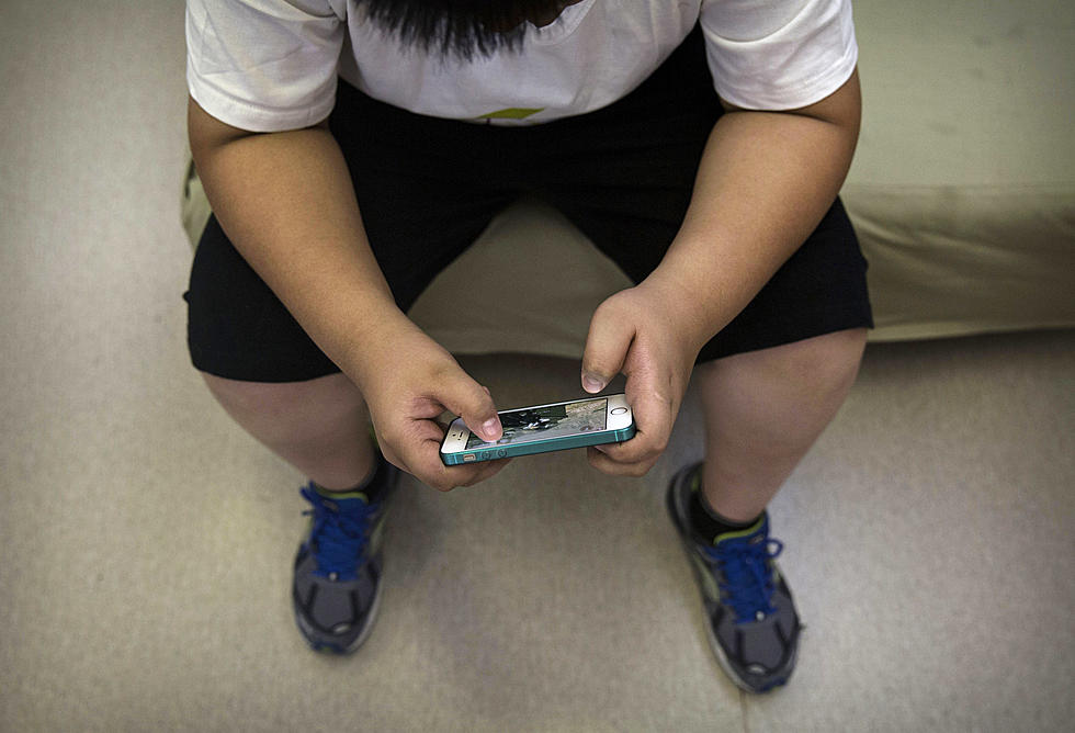 Most Overweight School Children Ranked by Hudson Valley District