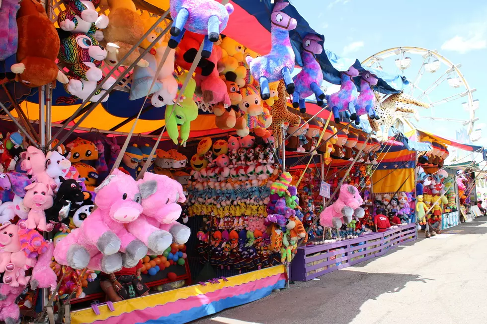 Preview the Hudson Valley County Fairs Scheduled for 2022