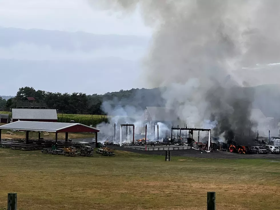 Beloved Hudson Valley Farm Remains Open After Devastating Fire