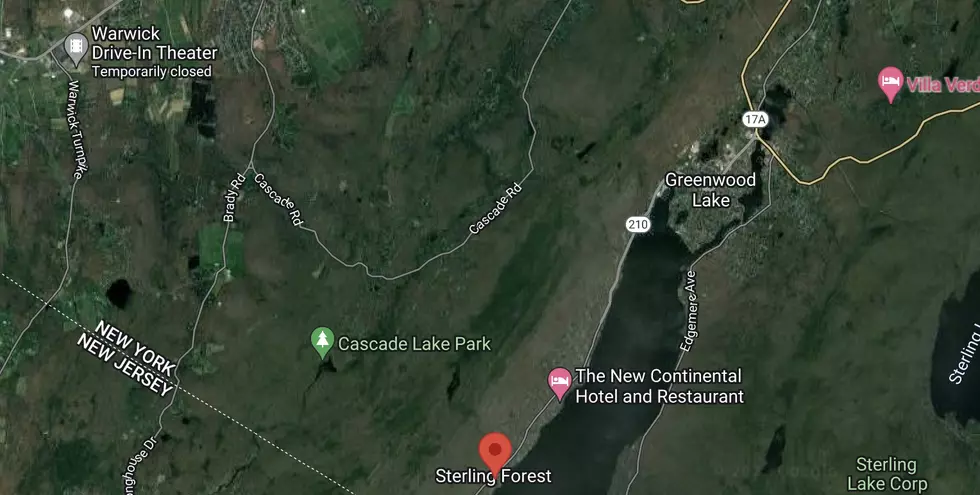 Emergency Crews in the Hudson Valley Save Man and Dog From Water