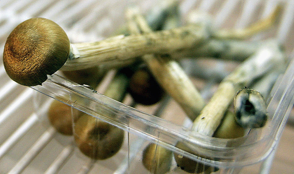 Lawmakers Propose to Legalize Magic Mushrooms in New York State 