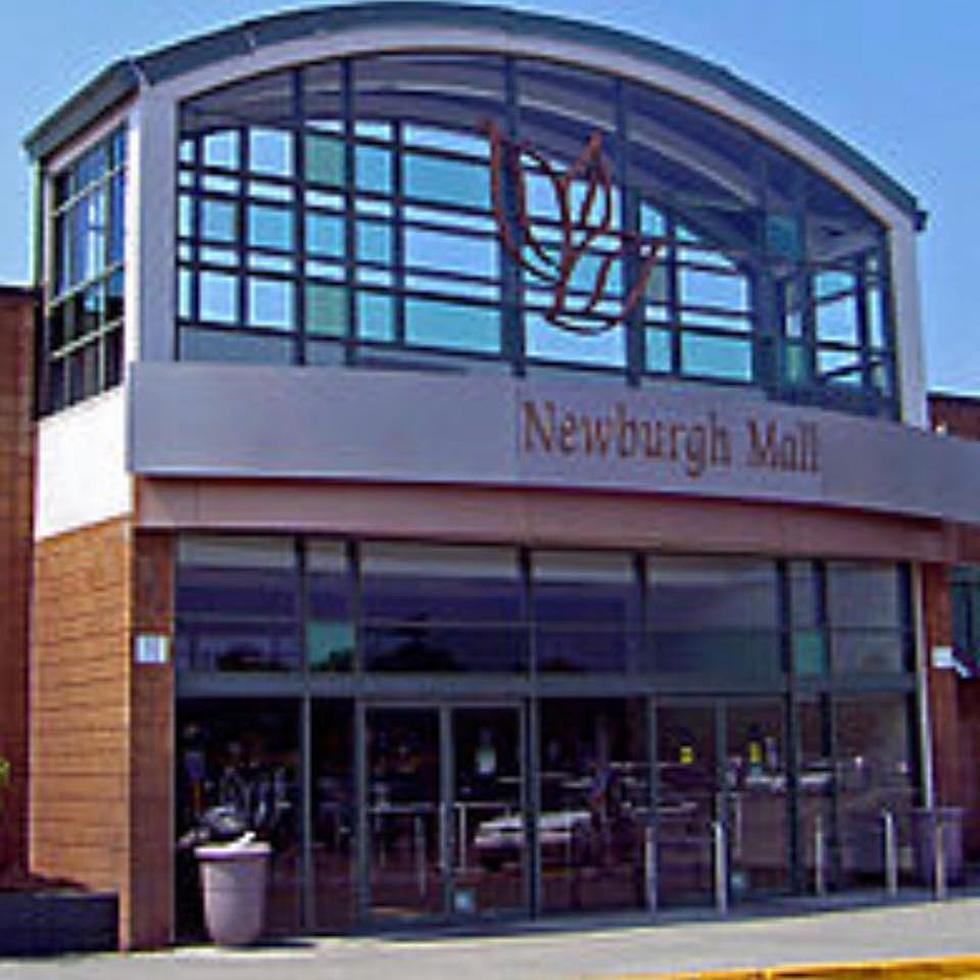 Newburgh Free Library Town Branch Announces Return to Mall