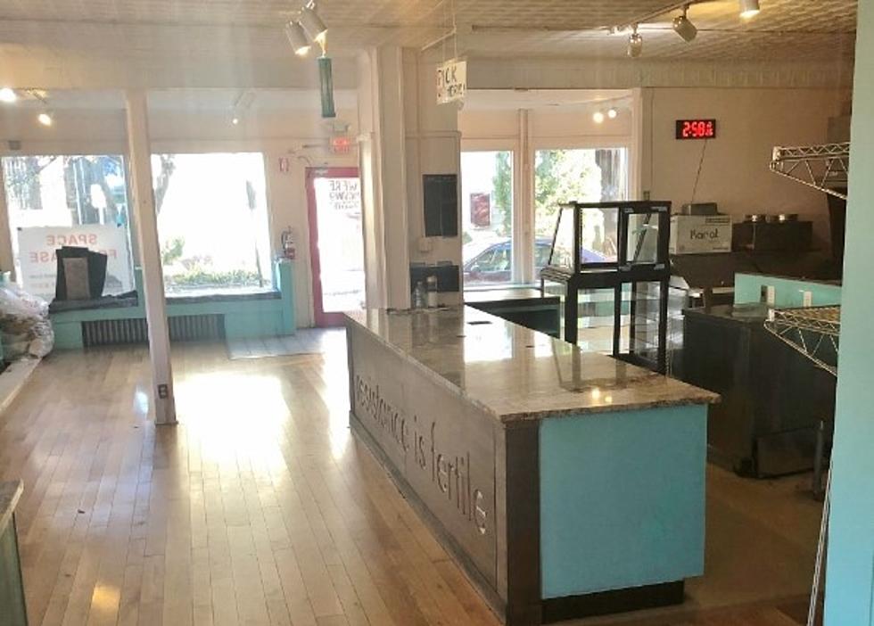 Beacon’s Cat Cafe apunta a la segunda ubicación en el Hudson Valley