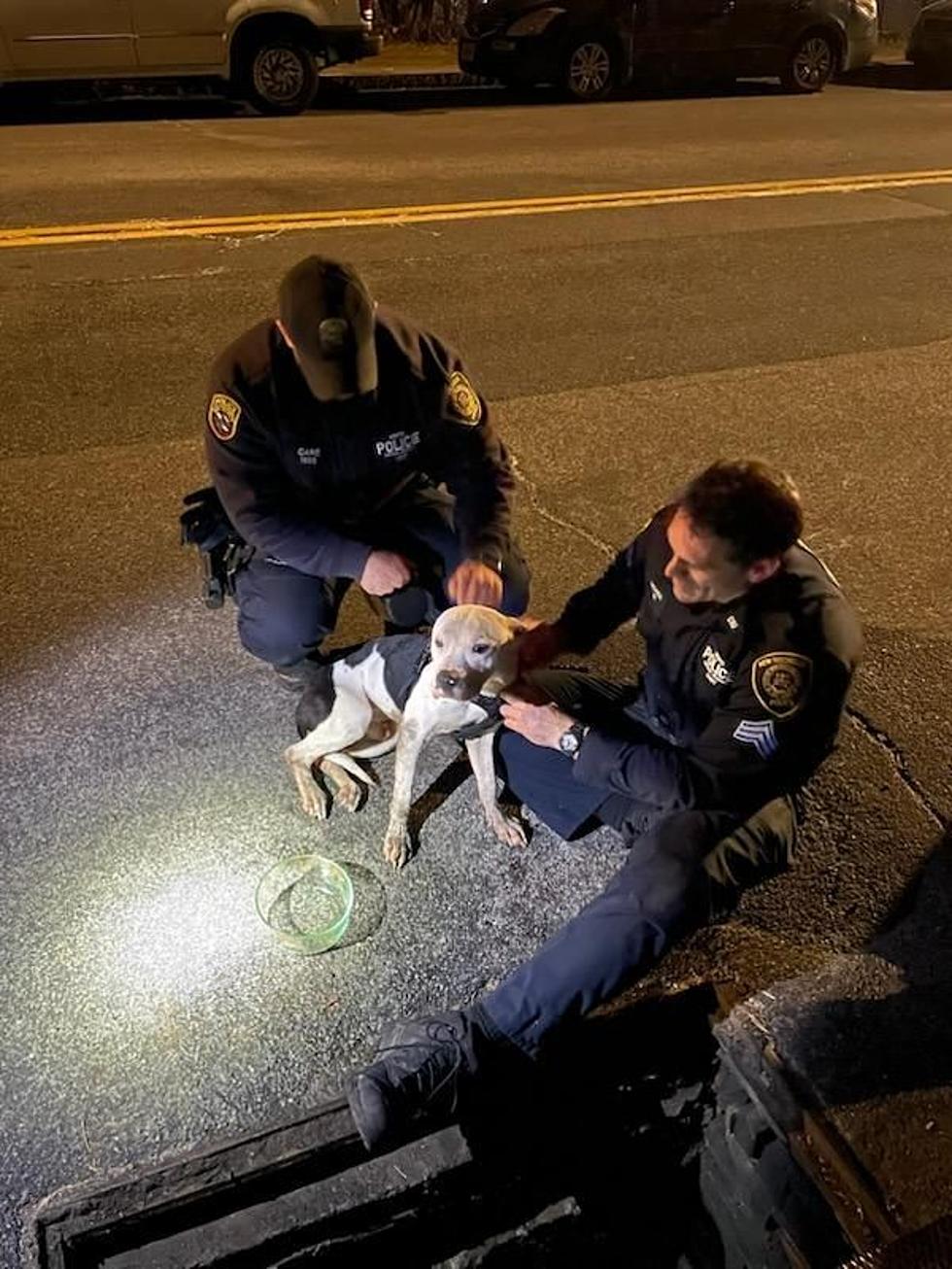 Policía en el bajo HV Rescata a perro atrapado en alcantarilla 