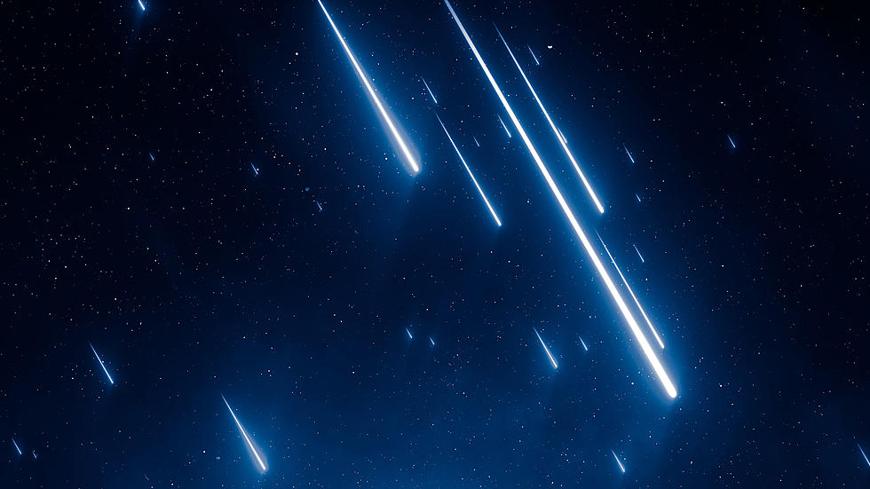 Meteor Shower Producing “Luminous Dust Trains” Returns to the Hudson Valley