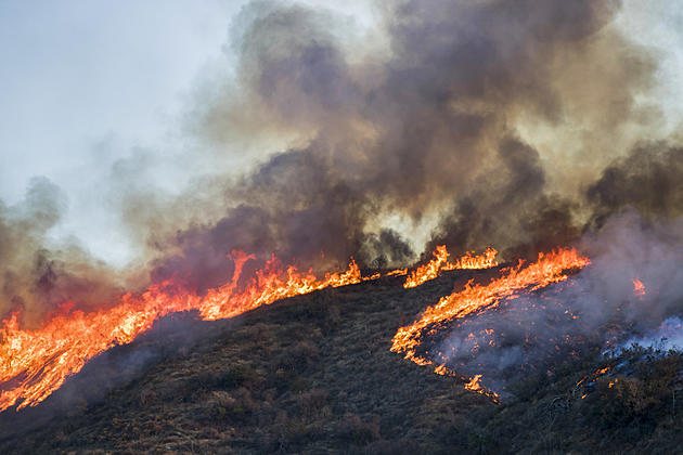 16 New York Counties Already Record 26 Wildfires During Burn Ban, As Future Risk Looms