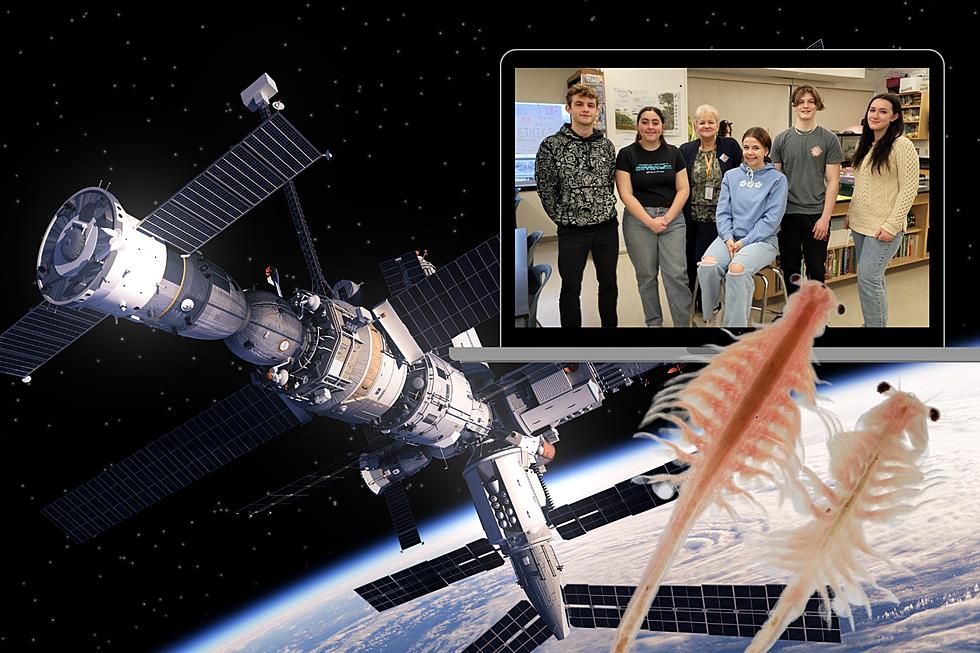 Hudson Valley Students’ Project Going on NASA Space Flight