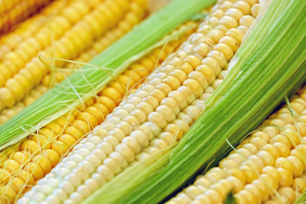 More New York Supermarkets Institute Frustrating Corn Policy