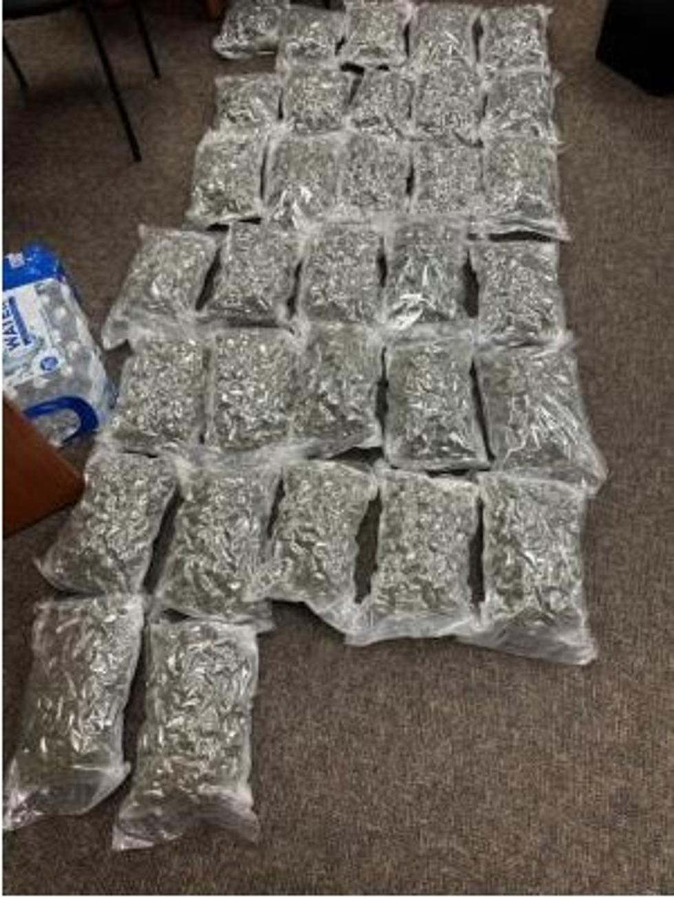 Pot Man Pot Man: Busted by NYSP on the Taconic