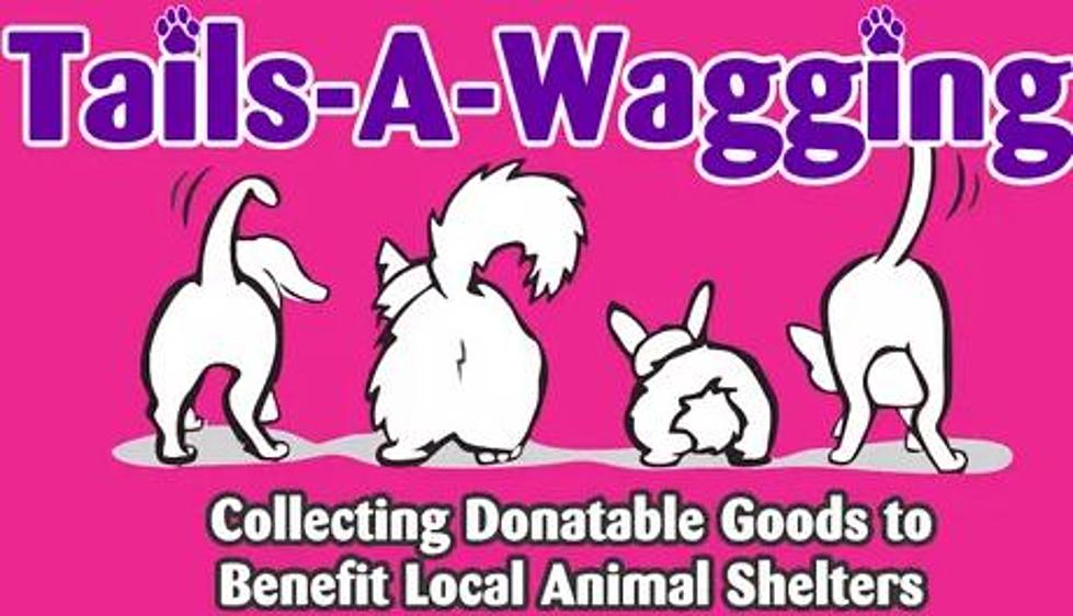 Make A Difference: Donate Supplies To Tails A Wagging In Dutchess County