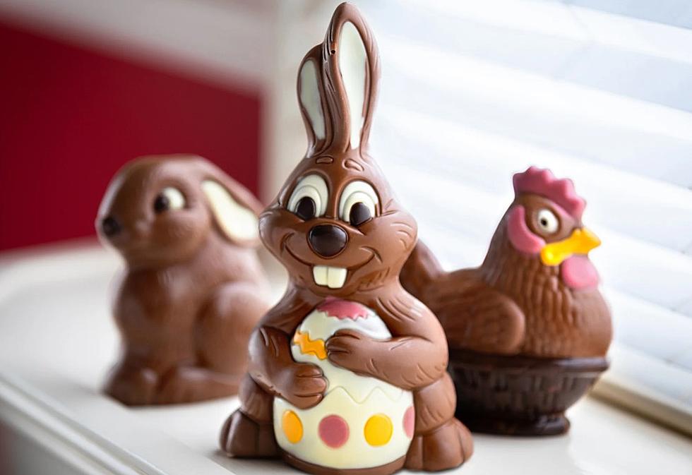Hudson Valley Chocolate Shop Hides Surprise Inside Their Bunnies