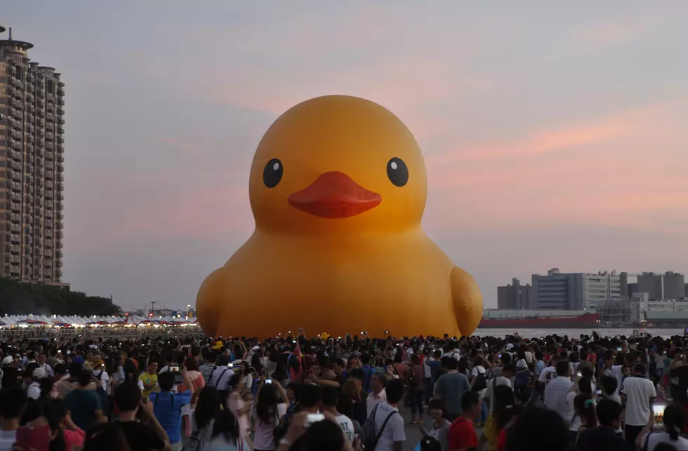 World’s Largest Rubber Duck Coming to Hudson Valley